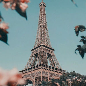 Meet your Posher, Cameron